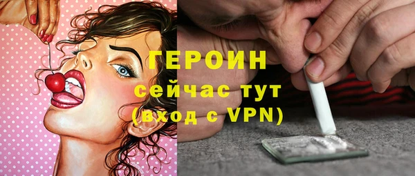 гашик Тайга