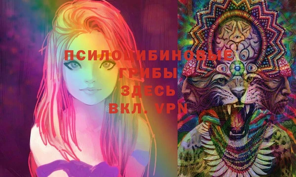прущая мука Михайлов